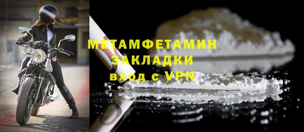 сатива Ленинск-Кузнецкий