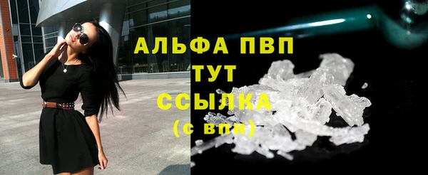 гашик Зеленокумск
