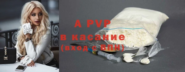 гашик Зеленокумск