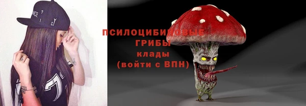 гашик Зеленокумск