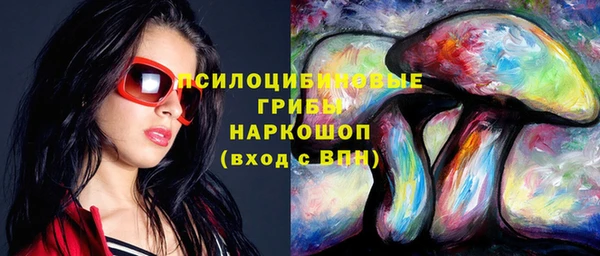 гашик Зеленокумск