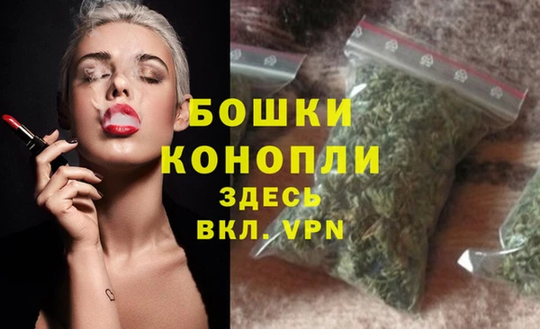гашик Зеленокумск