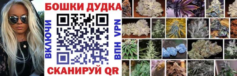 Бошки марихуана MAZAR  где купить наркоту  omg как войти  Питкяранта 